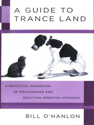 cover image of A Guide to Trance Land